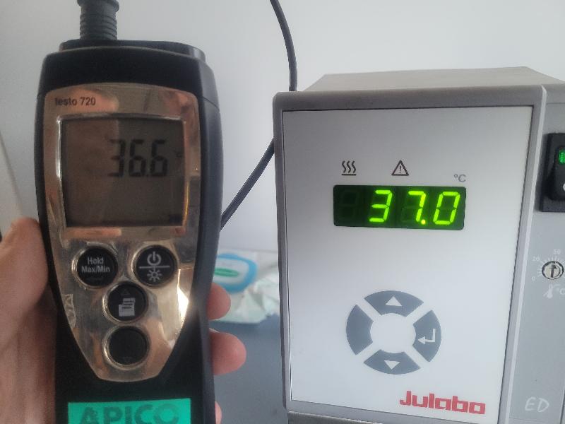 Bain thermostaté avec thermostat à immersion JULABO type ED_6