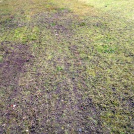 Herse 2.44 M tractable Jansen_6