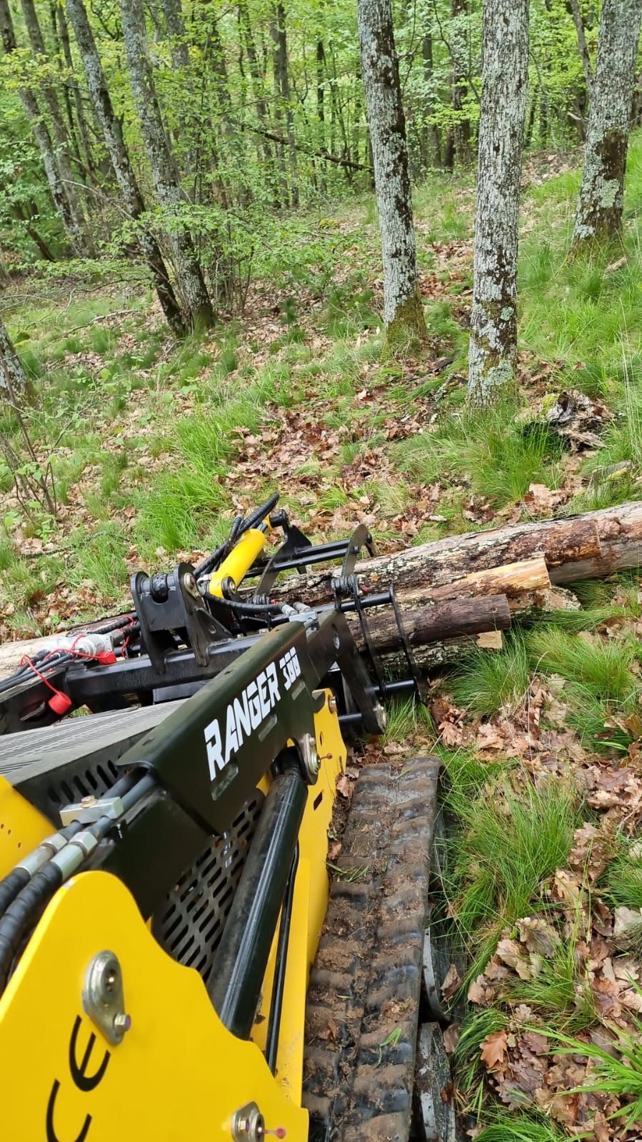 Ranger t300 elagage grappin a grumes_6