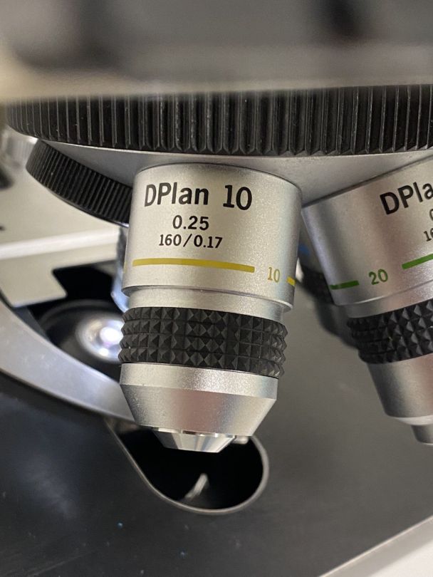 Microscope de laboratoire d'occasion bh-2 olympus - p2212-1959_6