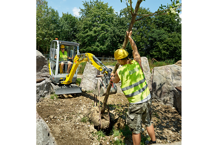 Mini pelle 1,72t - wacker neuson et16_6