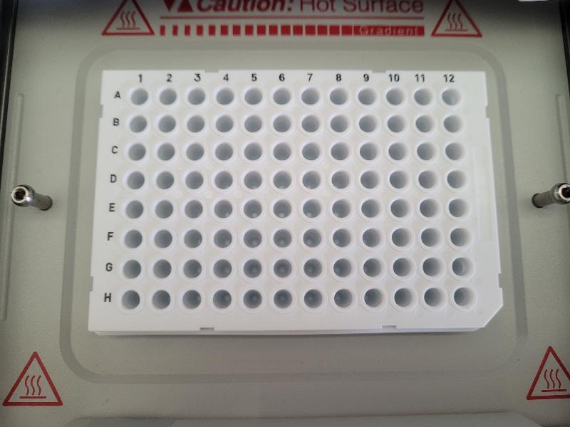 Thermocycleur Eppendorf Mastercycler Ep Gradient s Realplex 2_6