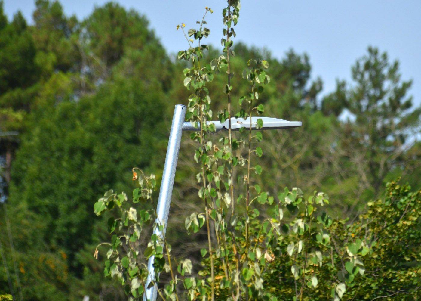 Mât d'éclairage public cylindro-conique ICAP en acier S-235-JR galvanisé à chaud - coloris en option_6