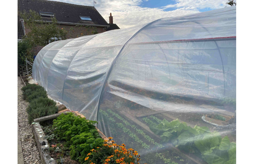 Serre pour légumes à deux portes pivotantes pour une aération naturelle et une accessibilité optimale - Largeur 6m - ABRI LEGUMES_6