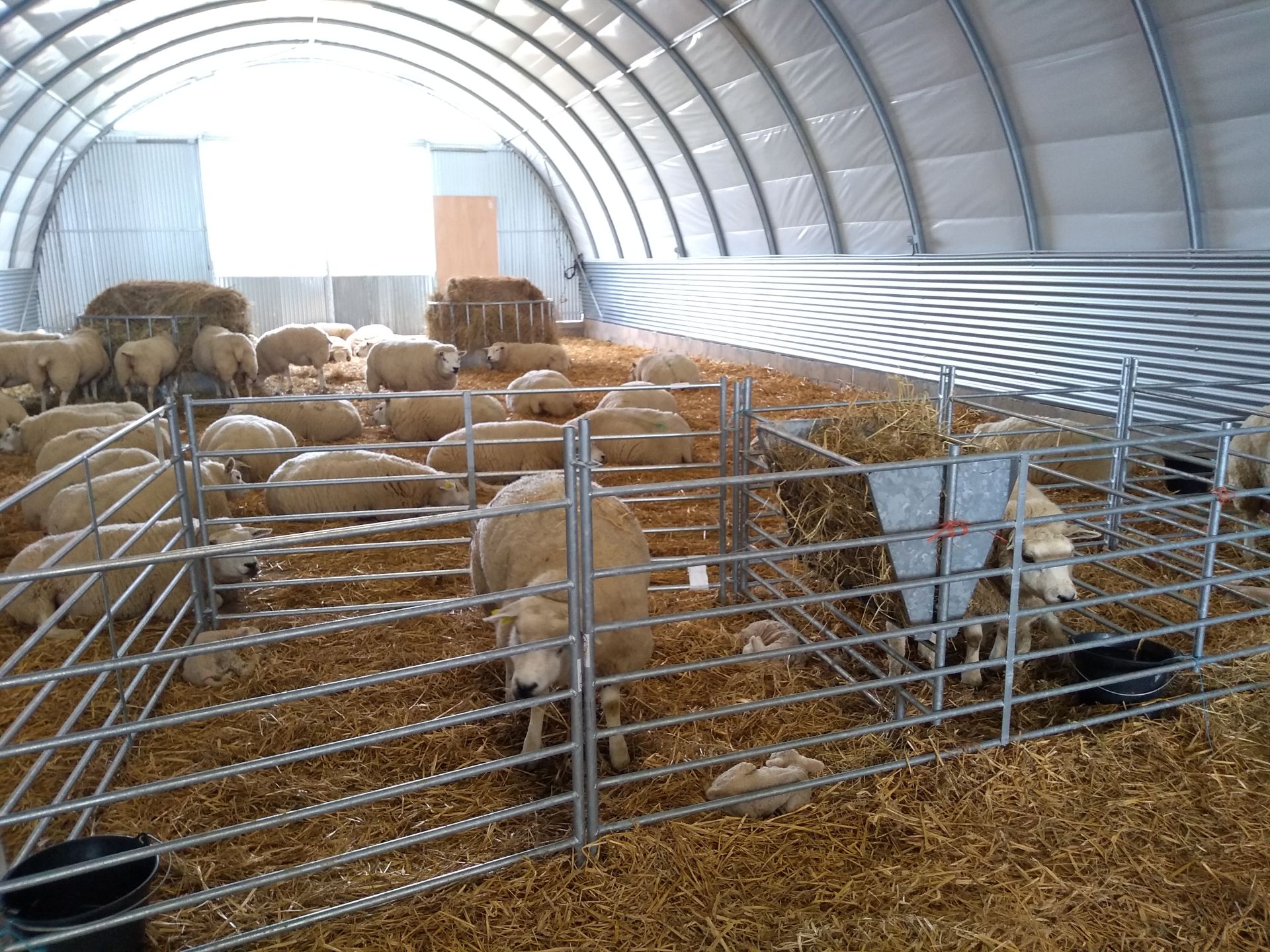 Tunnel d'élevage Abristhor sur solution béton (dalle, longrines, blocs, murs) pour un maximum de bien-être aux animaux et aux éleveurs_6