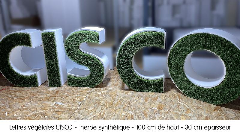 Lettres et logo végétales 3D en polystyrène - Logo, Lichen scandinave pour l'intérieur uniquement, Rose_6