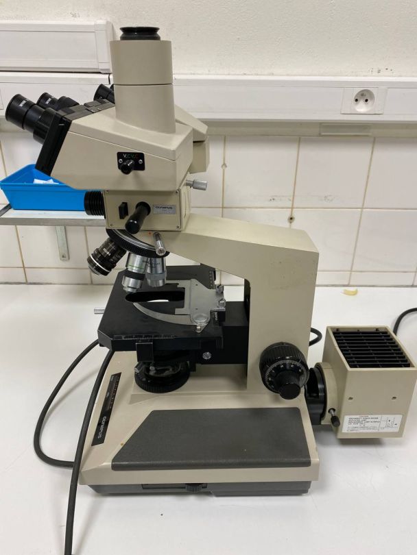 Microscope de laboratoire d'occasion BH-2 Olympus - Référence P2212-1958, avec 4 lentilles incluses_6