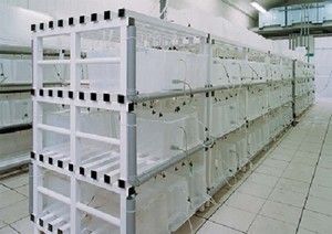 Étagère plastique pour chambre froide jusqu'à -80°C