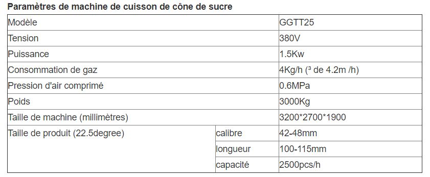Machine de fabrication de cornets de crème glacée - Gelgoog - 2500 pcs/h - modèle GGTT25 - certification CE_6