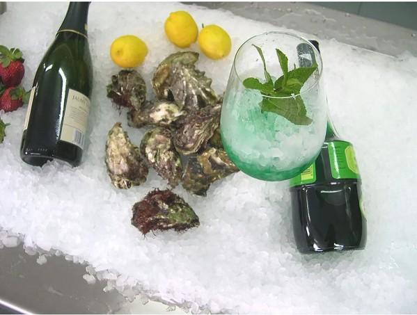 Machine à glaçons en grains - paillettes 100 kg - gaz écologique r290_6