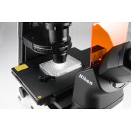 Eclipse TS2R - Microscope de recherche inversé compact Nikon avec observation polyvalente et ergonomie avancée_6