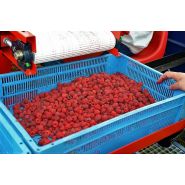 Récolteuse de framboises JAREK 5R - Jagoda JPS, avec système de nettoyage et tête spéciale_6