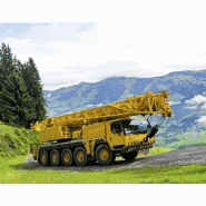 Ltm 1095-5.1 grue mobile_6