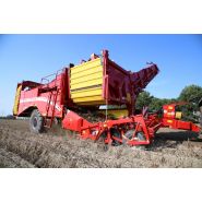 Grimme France SV 260 pour récolte respectueuse des cultures