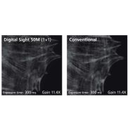 Caméra Digital Sight 50M avec fonctionnalités avancées pour imagerie de fluorescence et analyses quantitatives