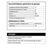 Groupe électrogène AL 1500-CA Inmesol - puissance de secours 16 kVA avec tableau de contrôle automatique DSE 6120 MKIII_6