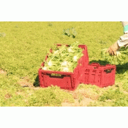 Bac pliable avec verrou actif 623 - pliable, empilable et écologique - capacité 47L_6