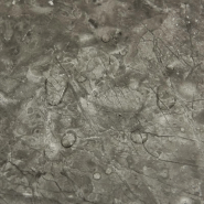 Vidaxl planches de plancher autoadhésives 55 pcs pvc 5,11 m² gris 324655_6