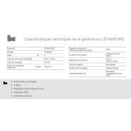 GMW-810 T6 - Groupe électrogène industriel triphasé 60 Hz - Genelec - 1011 kVA - Diesel - MTU - Alternateur STAMFORD_6