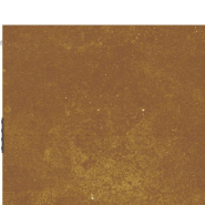 Vidaxl portail de jardin 105x130 cm acier corten 153264_6