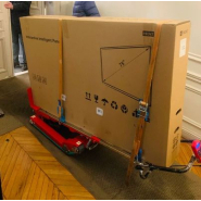 Diable électrique SKIPPER - 300 ou 400 kg - Avec chenilles indépendantes et gestion automatique de l'équilibre_6