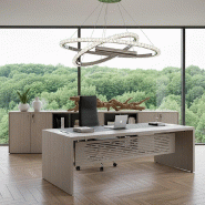 Bureau de Direction E10 - QUADRIFOGLIO - 224, Orme gris, Avec voile de fond_6