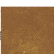 Vidaxl portail de jardin 85x125 cm acier corten 153258_6