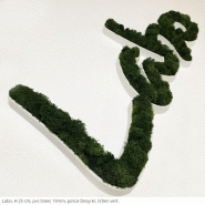 Logo ou Lettres Végétales - Lettres, Lichen scandinave pour l'intérieur uniquement, 10 mm, Noir_6