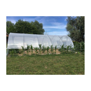 Serre de jardin avec aérations latérales et pieds droits de 0,50 m de haut - GOTHIQUE Serre de jardin avec aérations latérales et pieds droits de 0,50 m de haut - GOTHIQUE