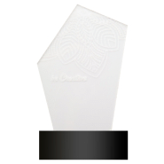Trophée en acrylique - lampe LED multicolore - gravure laser incluse - minimum 25 pièces_6