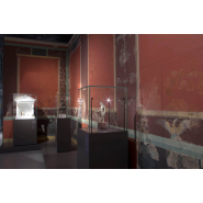 VITRINE MUSéOGRAPHIQUE POUR CONSERVATION PRéVENTIVE éTANCHE AVEC CONTRôLE CLIMATIQUE_6