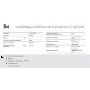 GTW-1525 T6 - Groupe électrogène industriel triphasé 60 Hz 1744 kVA - Genelec Mitsubishi MECC ALTE_6