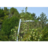 Mât d'éclairage public cylindro-conique ICAP en acier S-235-JR galvanisé à chaud - coloris en option_6