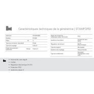 Générateur industriel avec capacité d'huile de 230 L et liquide de refroidissement de 445 L