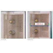 Nikon SMZ800N : stéréomicroscope avec optiques semi-apochromatiques, zoom 8:1 et accessoires ergonomiques_6