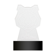 Trophée en acrylique - lampe LED multicolore - gravure laser incluse - minimum 25 pièces_6