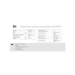 GTW-790 T5 50 Hz Triphasé - Groupe électrogène industriel 788 kVA - Genelec - Moteur Mitsubishi et alternateur Stamford