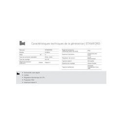 Groupe électrogène industriel triphasé GTW-1025 T6 - 1166 kVA - 60 Hz - moteur Mitsubishi - alternateur Stamford