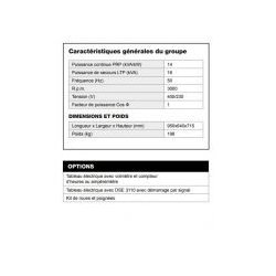 Groupe électrogène AL 1500-CA Inmesol - puissance de secours 16 kVA avec tableau de contrôle automatique DSE 6120 MKIII