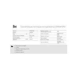 GMW-800 T5 - Groupe électrogène industriel triphasé 50 Hz - 860 kVA - MTU et alternateur STAMFORD