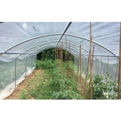 Serre à tomates avec une ventilation optimale et permanente idéale pour la protection des cultures contre les intempéries - 3 à 12 m de long