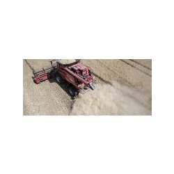 Axial-Flow série 140 - Moissonneuse-batteuse Case IH - 3 modèles 265 à 375 ch / 198 à 280 kW