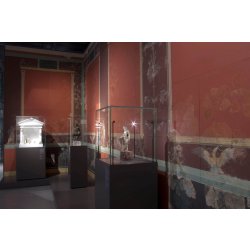 VITRINE MUSéOGRAPHIQUE POUR CONSERVATION PRéVENTIVE éTANCHE AVEC CONTRôLE CLIMATIQUE