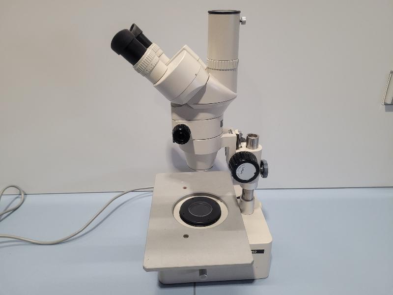Utilisation du stéréomicroscope NIKON SMZ-2T