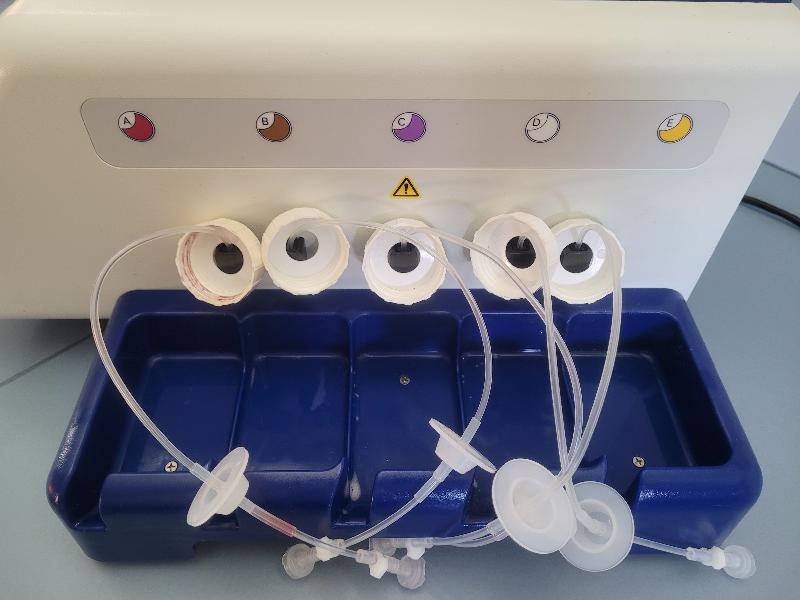 Biomérieux 29551 PREVI Color GRAM_7