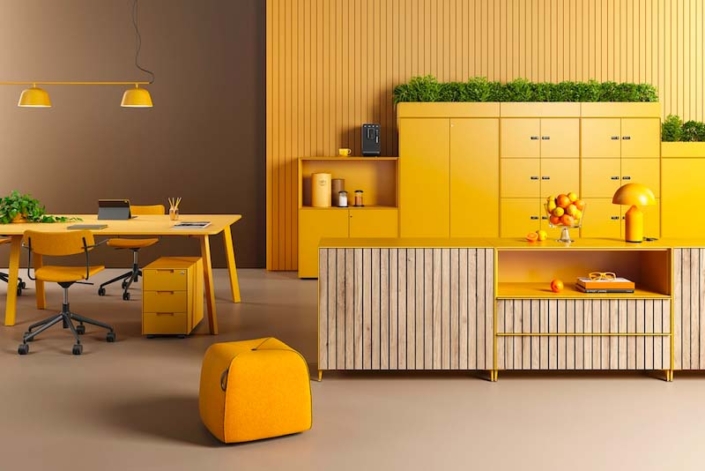 Armoire  à porte modulable et polyvalente pour tous  les espaces de travail_7