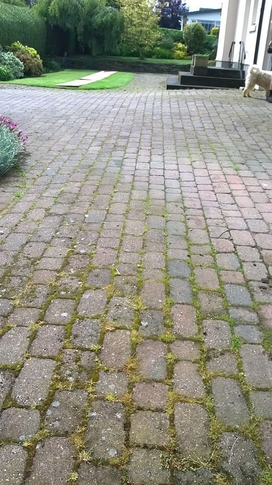 Brosse desherbage rb80 pour le nettoyage des chantiers, le désherbage non chimique sur les pavés_7