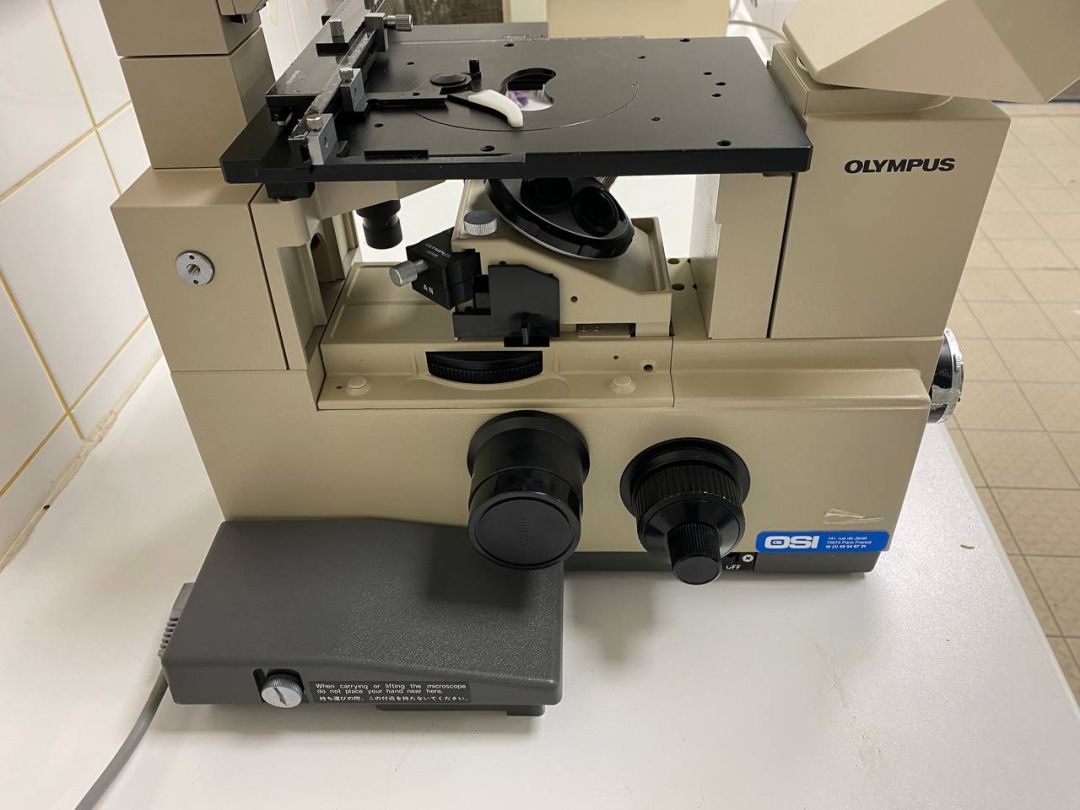 Microscope de laboratoire d'occasion -  imt-2 olympus_7