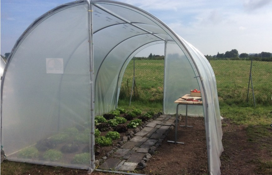 Serre de jardin simple, fonctionnelle et pratique pour tous les jardins en gardant une hauteur conséquente- ESSENTIELLE_7