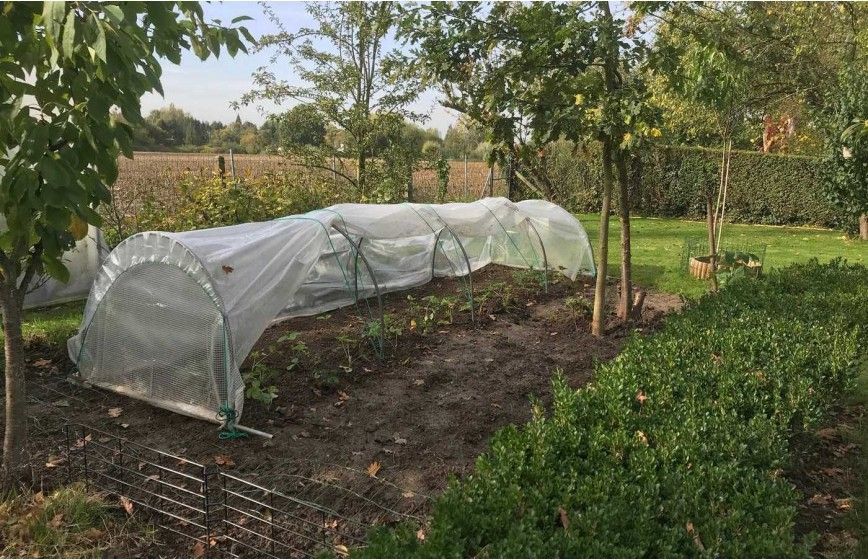 Tunnel de forçage idéal pour la protection de vos cultures hâtives de printemps et vos plantations d'automne_7